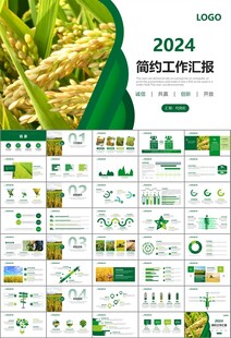 水稻农田农业种植大米PPT模板