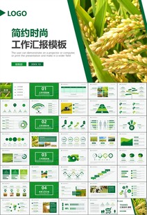 水稻农田农业种植大米PPT模板