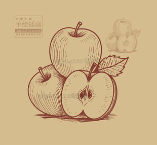 矢量手绘苹果