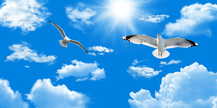 蓝天白云天空软膜天花