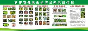 农作物健康生长防治知识