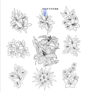 百合花卉线稿图案设计素材
