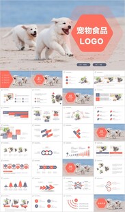 宠物狗宠物医院猫狗兽医PPT