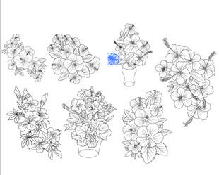手绘花卉盆栽线稿集合