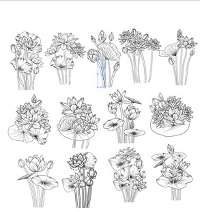 手绘花卉盆栽图案集合