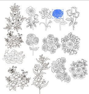 手绘花卉图案集合