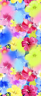 多彩花卉图案背景