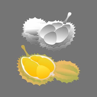 榴莲矢量插画