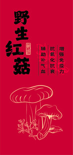 野生红菇不干胶