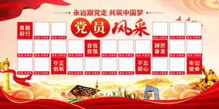 党支部党建风采展板