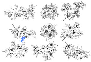手绘花卉枝叶图案集合