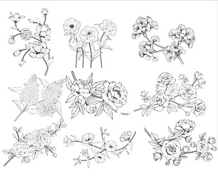 手绘花卉植物线稿集合