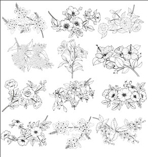 花卉植物线稿图案集合