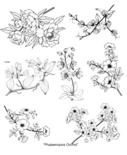 花卉植物线稿图案设计