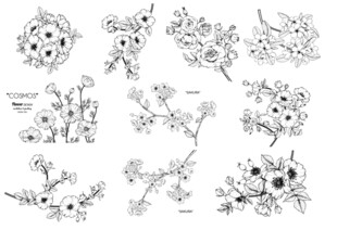 手绘植物花卉图案设计