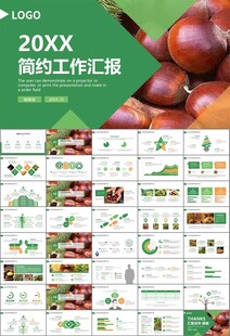 营养美食美味板栗种植宣传PPT