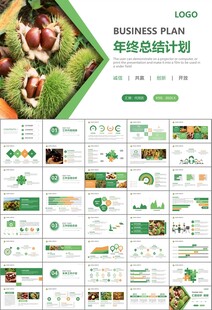 营养美食美味板栗种植宣传PPT