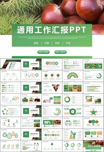 营养美食美味板栗种植宣传PPT