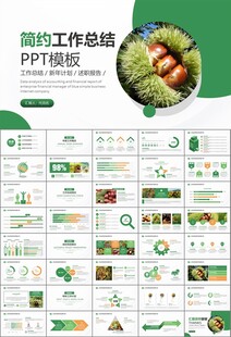 营养美食美味板栗种植宣传PPT