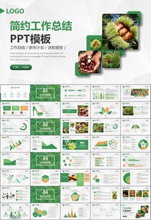 营养美食美味板栗种植宣传PPT