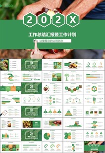 营养美食美味板栗种植宣传PPT