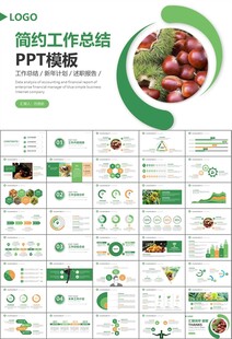 营养美食美味板栗种植宣传PPT