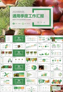 营养美食美味板栗种植宣传PPT