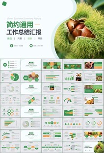 营养美食美味板栗种植宣传PPT