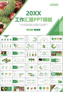 营养美食美味板栗种植宣传PPT