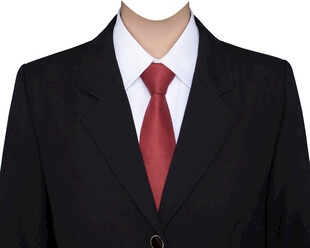 女西装红领带证件照衣服素材