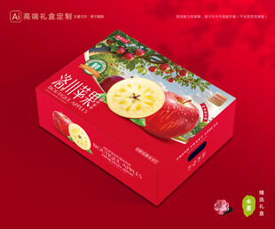 苹果包装 红富士礼盒