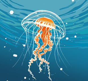 海洋中的梦幻水母