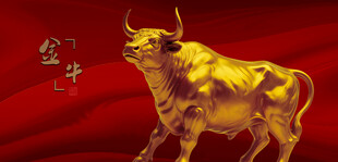 牛气冲天金牛