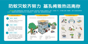 基孔肯雅热远离你