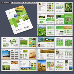 农产品宣传册