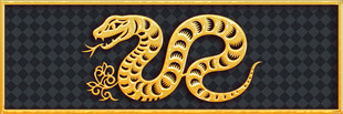 金色盘蛇图案