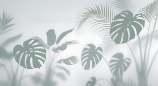 雾气磨砂膜效果绿植贴图