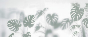 雾气磨砂膜效果绿植贴图