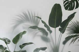 雾气磨砂膜效果绿植贴图