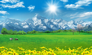 蓝天白云大草原