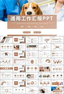 宠物行业医院美容宠物店ppt