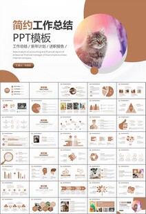 宠物行业医院美容宠物店ppt