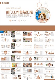 宠物行业医院美容宠物店ppt