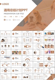 宠物行业医院美容宠物店ppt