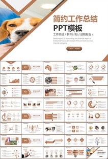 宠物行业医院美容宠物店ppt