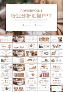 宠物行业医院美容宠物店ppt