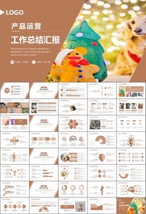 宠物行业医院美容宠物店ppt