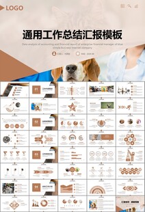 宠物行业医院美容宠物店ppt