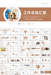 宠物行业医院美容宠物店ppt