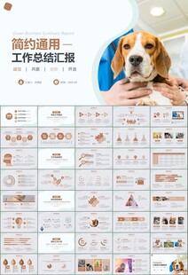 宠物行业医院美容宠物店ppt